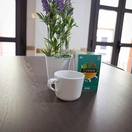 Apartamento 33 Pasos Catedral 2 León